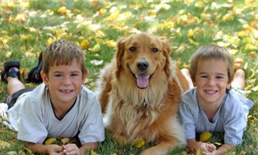 Lovaas ABA Autism Treatment Programs | Specialized for each Child